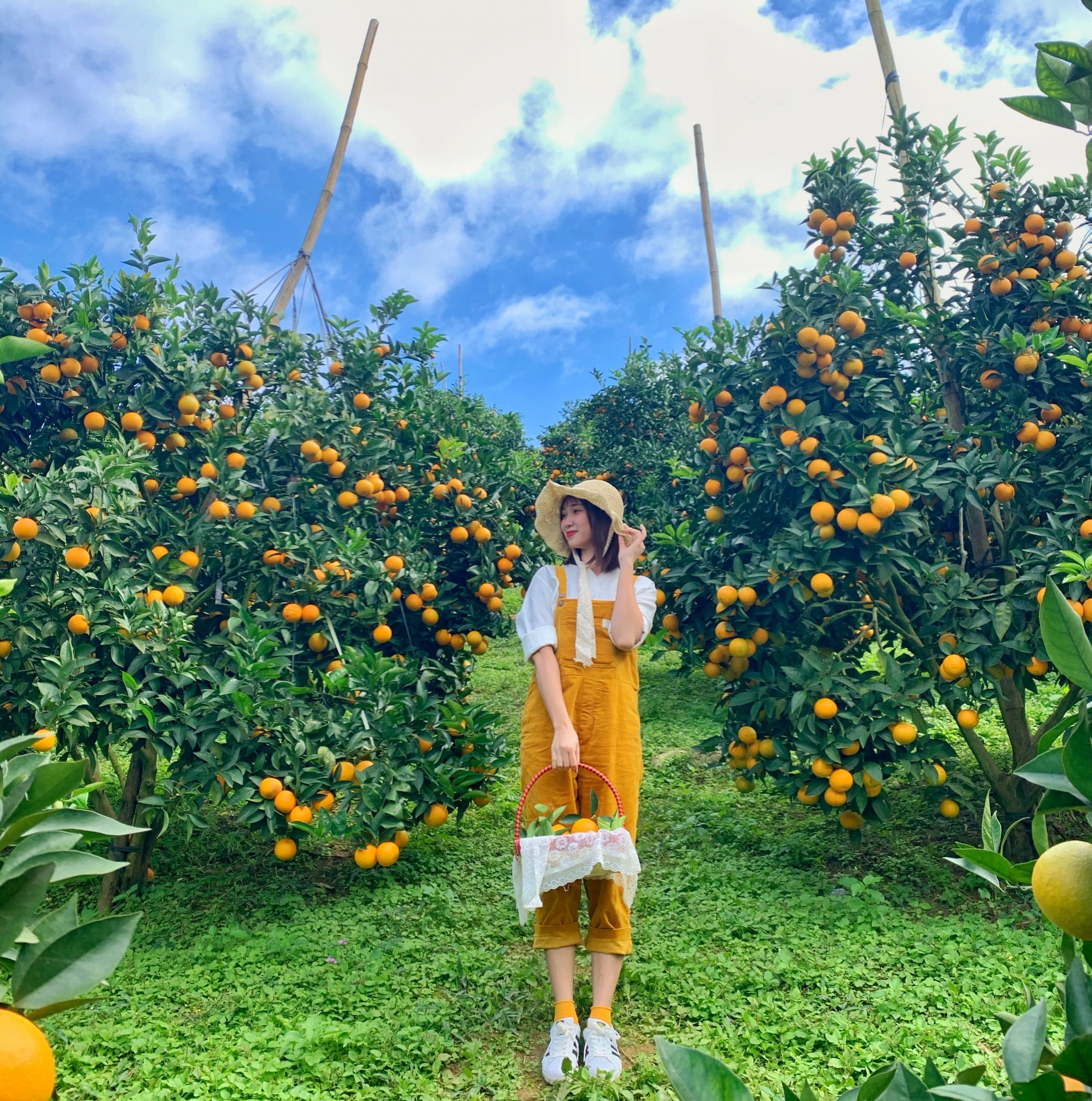 HÀ NỘI - MỘC CHÂU - SƠN LA - ĐIỆN BIÊN