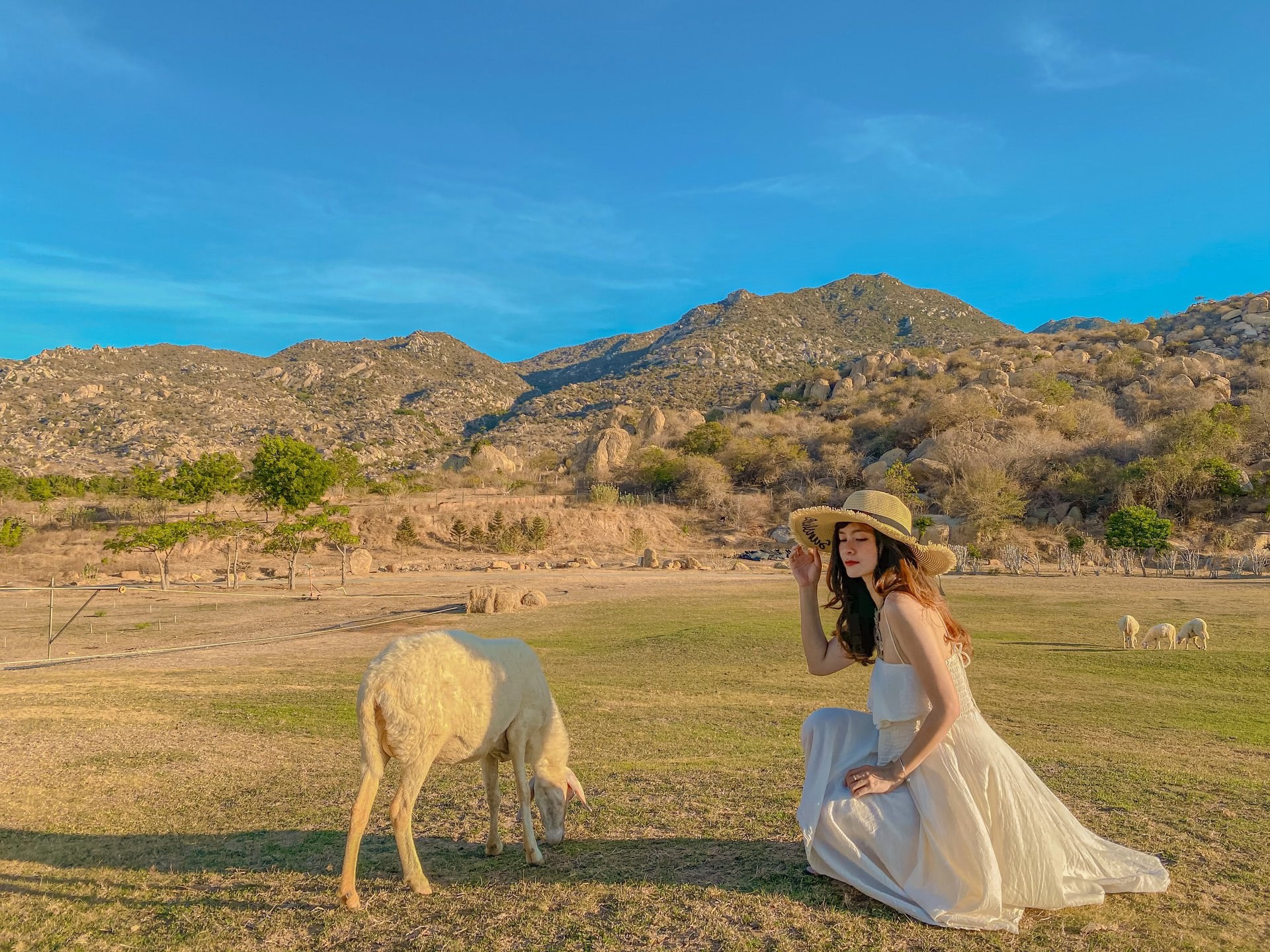 HÀ NỘI - NHA TRANG – VĨNH HY - NINH THUẬN
